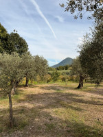 /album/galleria-foto-guarrelle/whatsapp-image-2025-10-12-at-15-18-40-jpeg/